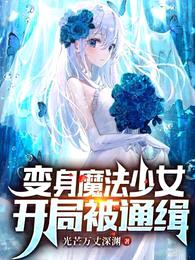 变身魔法少女，开局被通缉